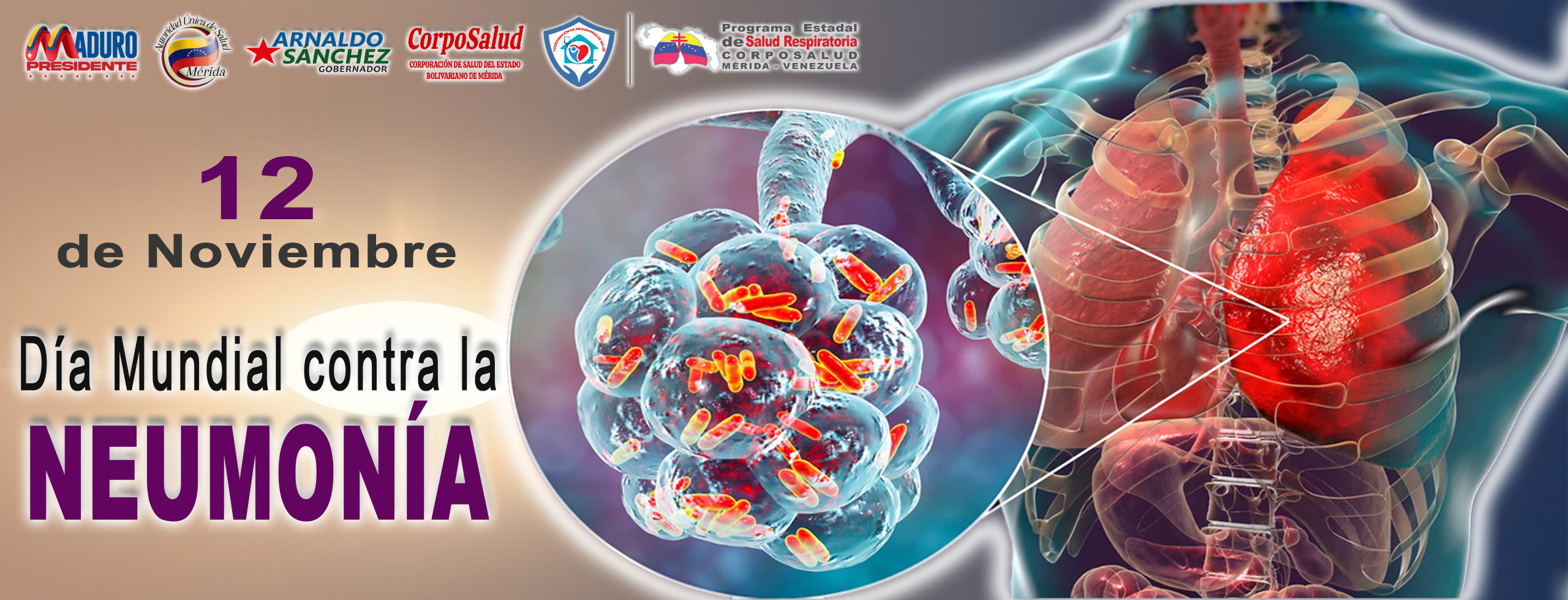 BANNER DÍA INTERNACIONAL CONTRA LA NEMONÍA PROGRAMA copy