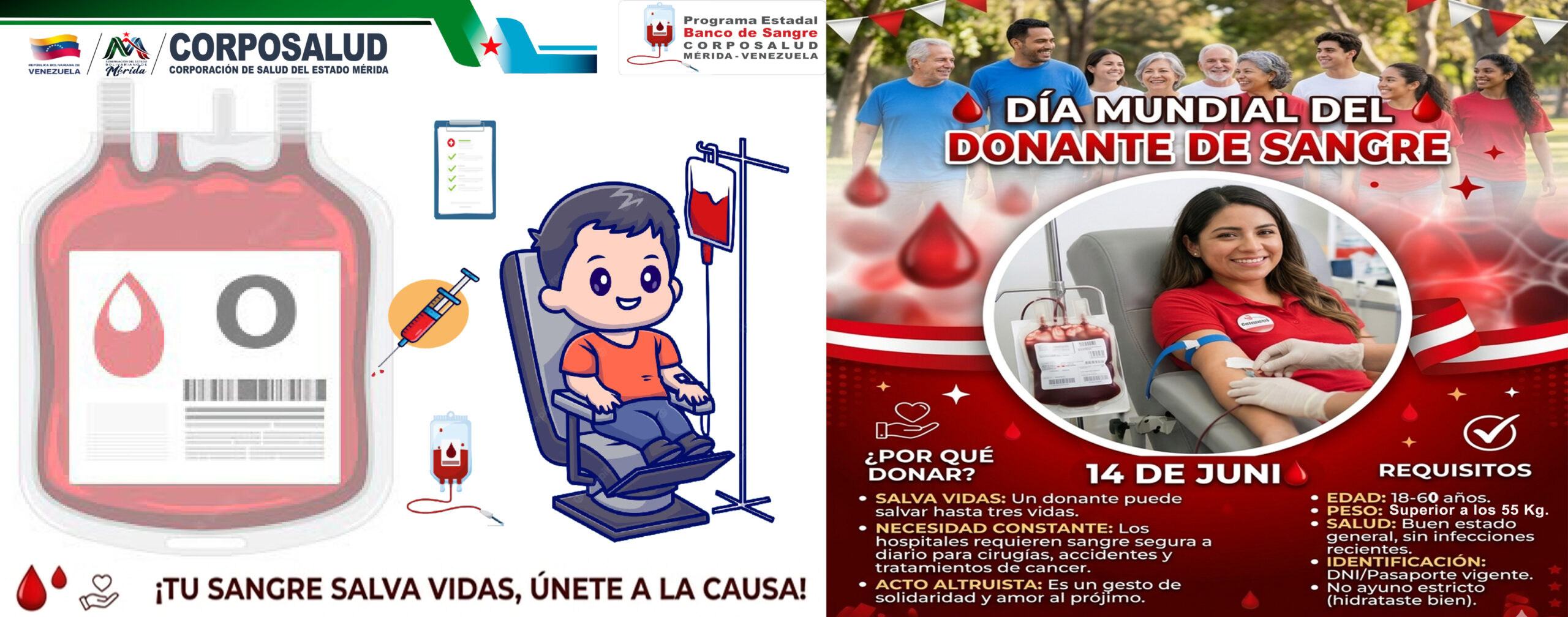 BANNER DÍA MUNDIAL DEL DONANTE DE SANGRE 2026 copy